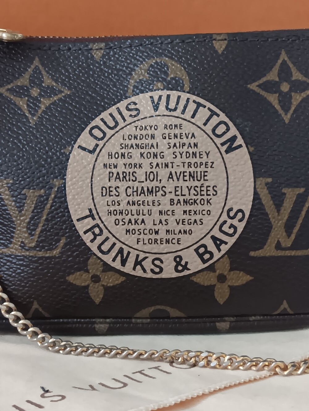 Louis Vuitton Mini Pochette Trunks & Bags Limited Edition ✨ Box+COA - Picture 4 of 16